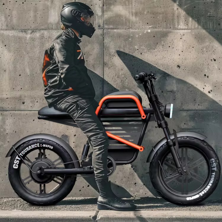 60V 20Ah WideTire Electric Mot - đánh giá và giá Commuting With Road Bike